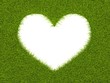 Heart shape frame from grass