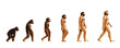 Evolution de l'homme couleur