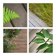 terrasse, patio, maison, jardin, jardinage, plante, bois