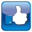 Like Button Like Button
