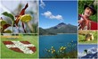 savoie