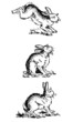 Trois lapins Trois lapins