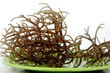 fresh brown seaweed on a green plate