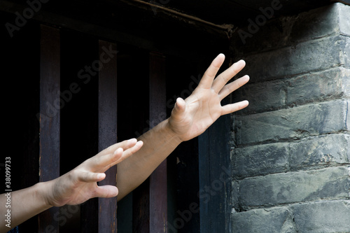 Photo: Freedom Freedom