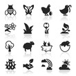 Icons set Spring Elegant series