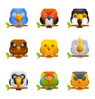 Photo: Birds Icon 2 Birds Icon 2