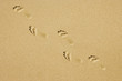 Fußspur Im Sand