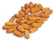 Raw cacao beans arranged in rectangle shape.