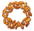 Raw cacao beans arranged in circle shape.