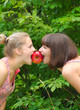 two sisters sharing an apple