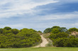 Photo en ligne au meilleur prix Great Ocean Road - Apollo bay - Australie