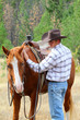 Cowboy