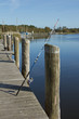Im Hafen von Zingst, Mecklenburg-Vorpommern