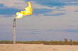 Oil gas flare