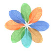 Photo: Abstract colorful Leaf isolated on white Abstract colorful Leaf isolated on white