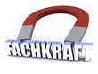 Fachkraft - Magnet