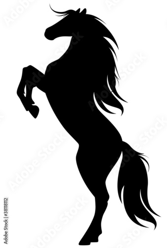 Vector: rearing up horse fine vector silhouette rearing up horse fine vector silhouette