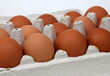 Eier im Eierkarton