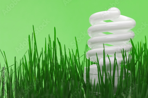 Photo: Energy saving compact fluorescent lightbulb Energy saving compact fluorescent lightbulb