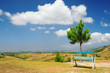 blank bench landscape