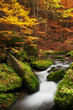 Autumn Creek