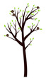 Spring Tree