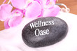 Wellness
