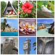 Les Seychelles en photos