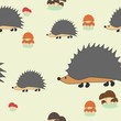 Cute little hedgehogs
