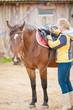 coach preparing a horse