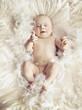 Little baby Little baby