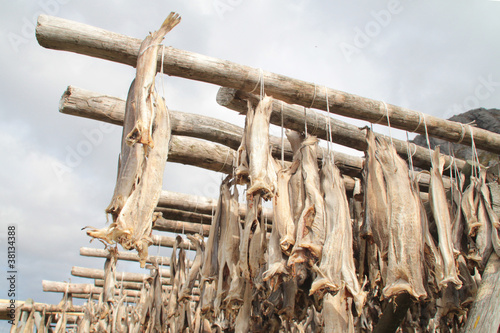Foto: Stockfish of Å Stockfish of Å