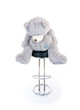 teddy bear sitting on a chair. isolated