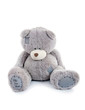 sad teddy bear. isolated