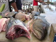 marché de poissons