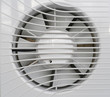 Foto: White fan White fan