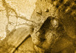 Grunge Buddha Background - Sepia Effekt