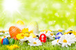 easter eggs on meadow before abstract green background