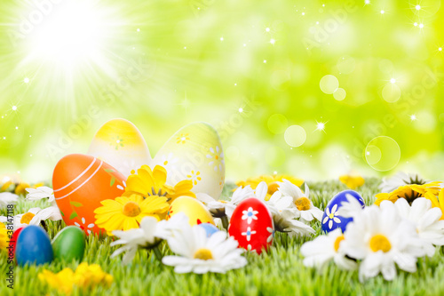 Foto: easter eggs on meadow before abstract green background easter eggs on meadow before abstract green background