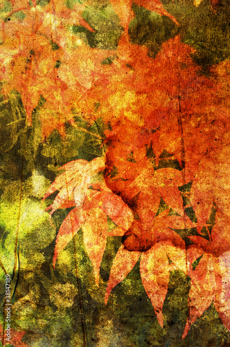 Foto: maple print maple print