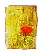 poppy print