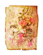 rose paper