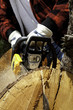 Close-up view of lumberjack with electric saw