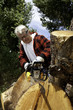 Senior man cutting tree stump with chainsaw