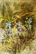 textured blue bells