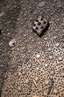 Ã„gypten, Kairo, Sultan-Hassan-Moschee