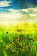 faded meadow