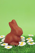 lapin de Pâques au printemps lapin de Pâques au printemps