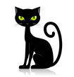 Black cat