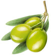 Olives with leaves on a white
